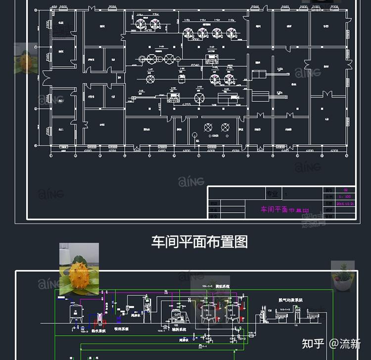 食品工廠畢業(yè)設(shè)計(jì)指南 從香腸到橙汁飲料的全流程解析